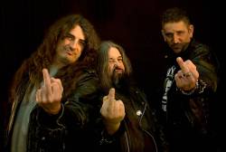 interview American Dog